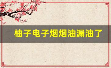 柚子电子烟烟油漏油了？教你快速修复的小窍门