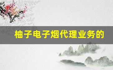 柚子电子烟代理业务的利润空间和风险分析